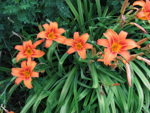 1699542 (a): :2560x1920